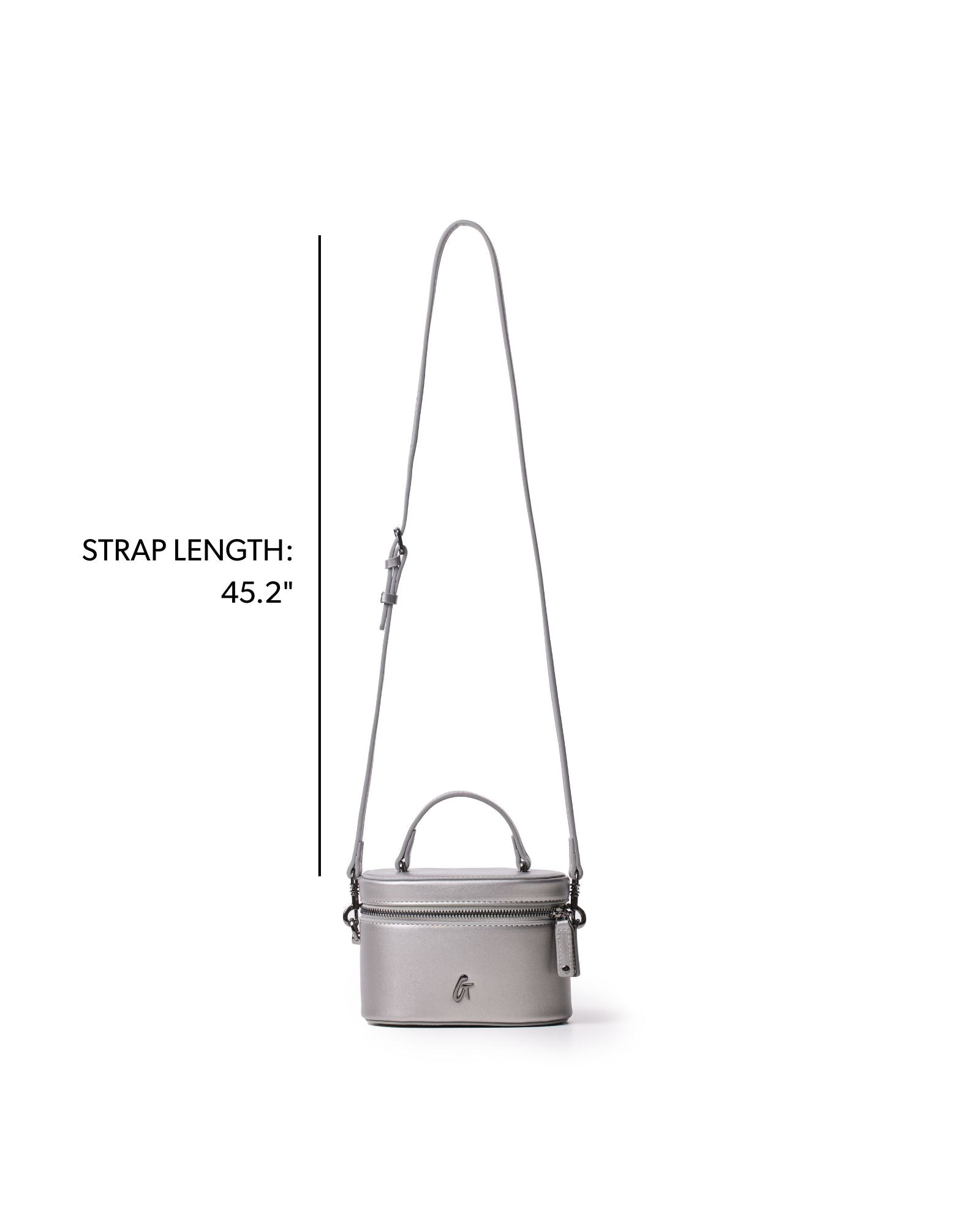Mini smooth gunmetal vanity bag in platinum with adjustable strap, perfect for stylish on-the-go organization.