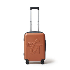 STANDARD CARRY-ON LUGGAGE BROWN